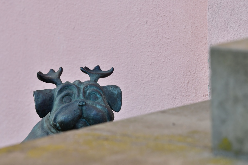 2026-01-08 Brandenburg an der Havel/Waldmöpse/DSC_2290.JPG